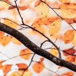 org:/landingpages/winnaars DK NO SE/18e-prize-scandinavie.jpg